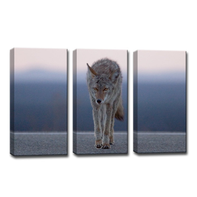 Coyote' Wrapped Canvas Wall Art Set