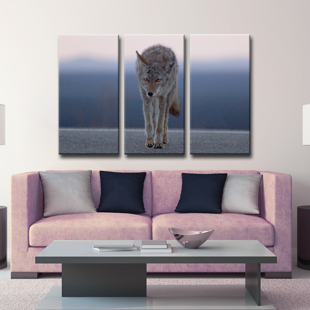 Coyote' Wrapped Canvas Wall Art Set