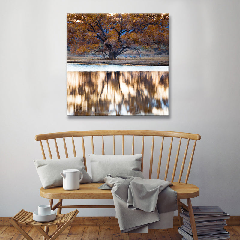 Bosque Lake' Wrapped Canvas Wall Art
