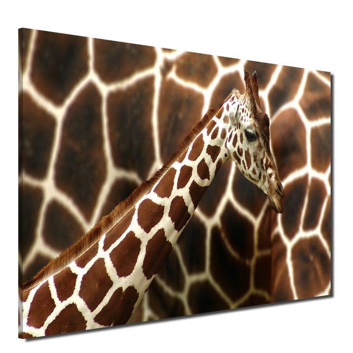 Indoor/Outdoor Wall Art 'Giraffe' in ArtPlexi