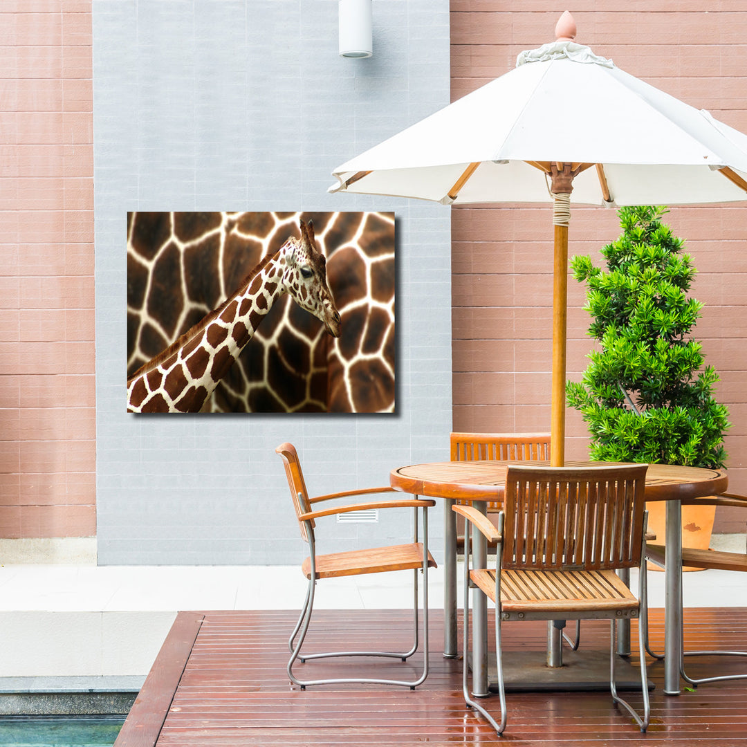 Indoor/Outdoor Wall Art 'Giraffe' in ArtPlexi