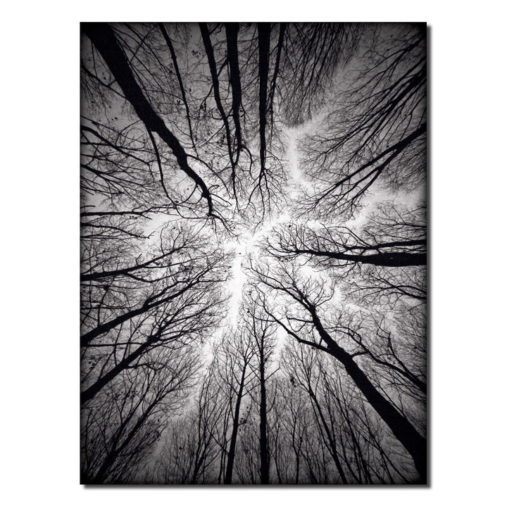 Indoor/Outdoor Wall Art 'Ceiling' in ArtPlexi
