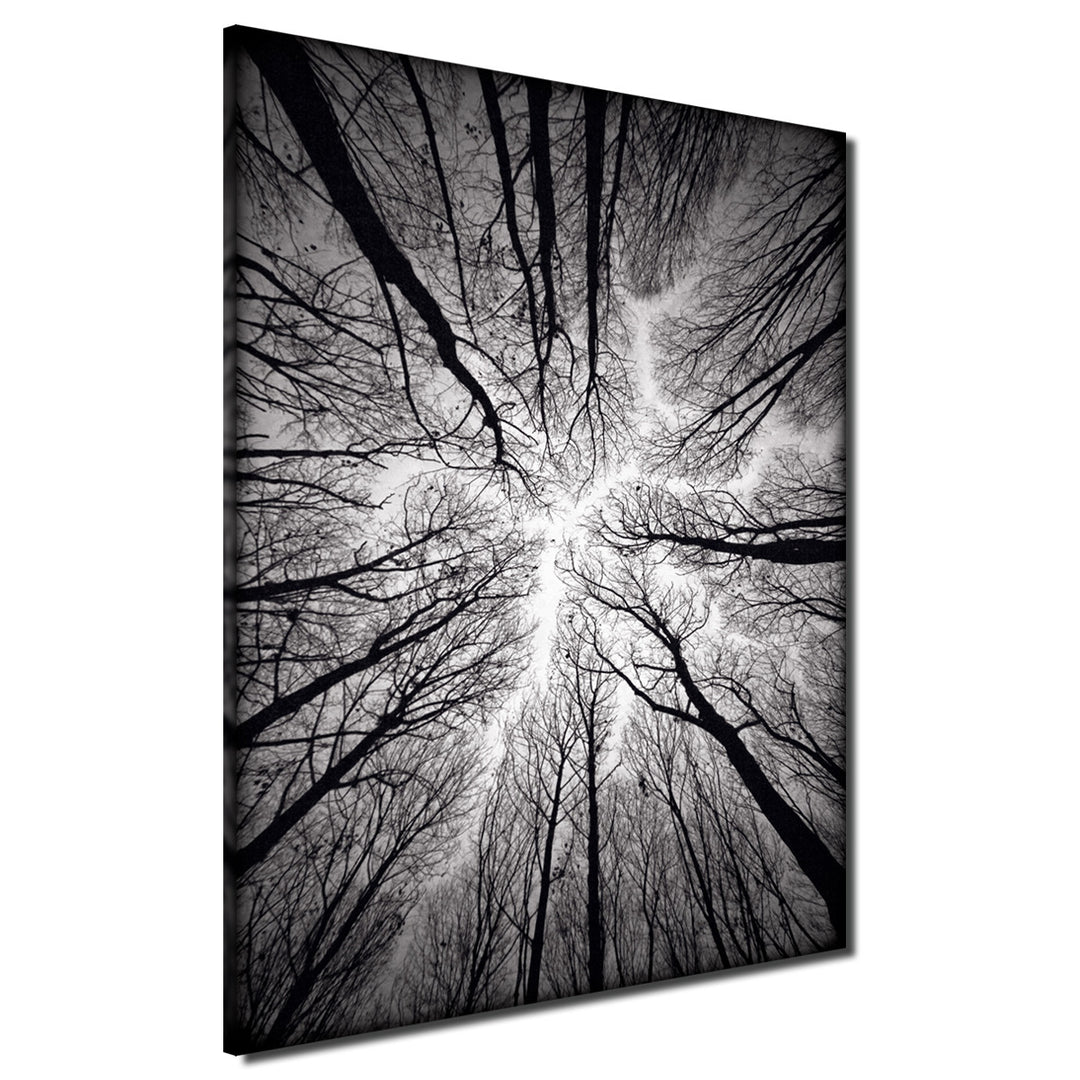 Indoor/Outdoor Wall Art 'Ceiling' in ArtPlexi