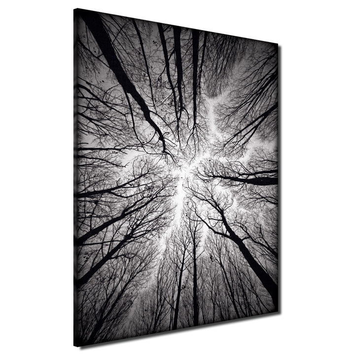 Indoor/Outdoor Wall Art 'Ceiling' in ArtPlexi