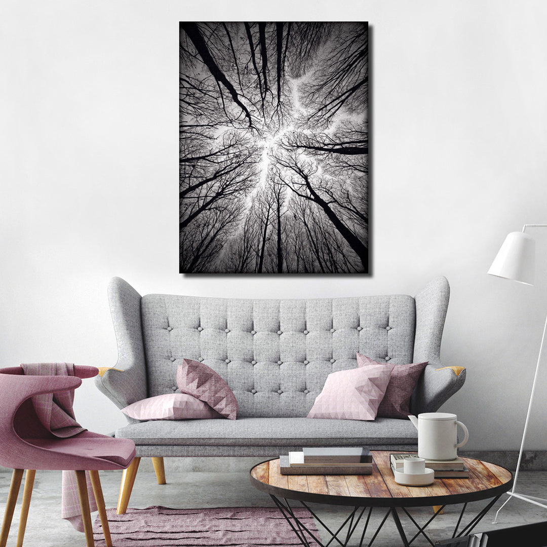 Indoor/Outdoor Wall Art 'Ceiling' in ArtPlexi