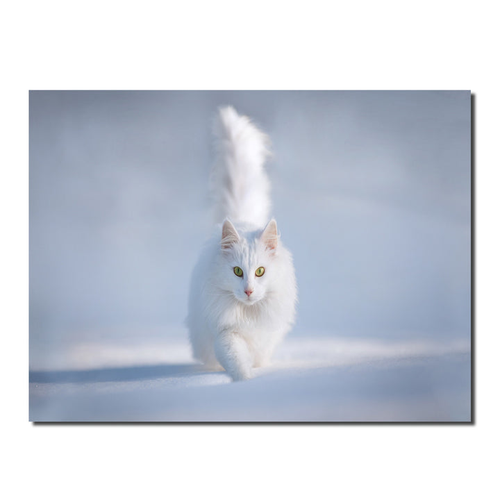 Indoor/Outdoor Wall Art 'Yellow Eyes' in ArtPlexi
