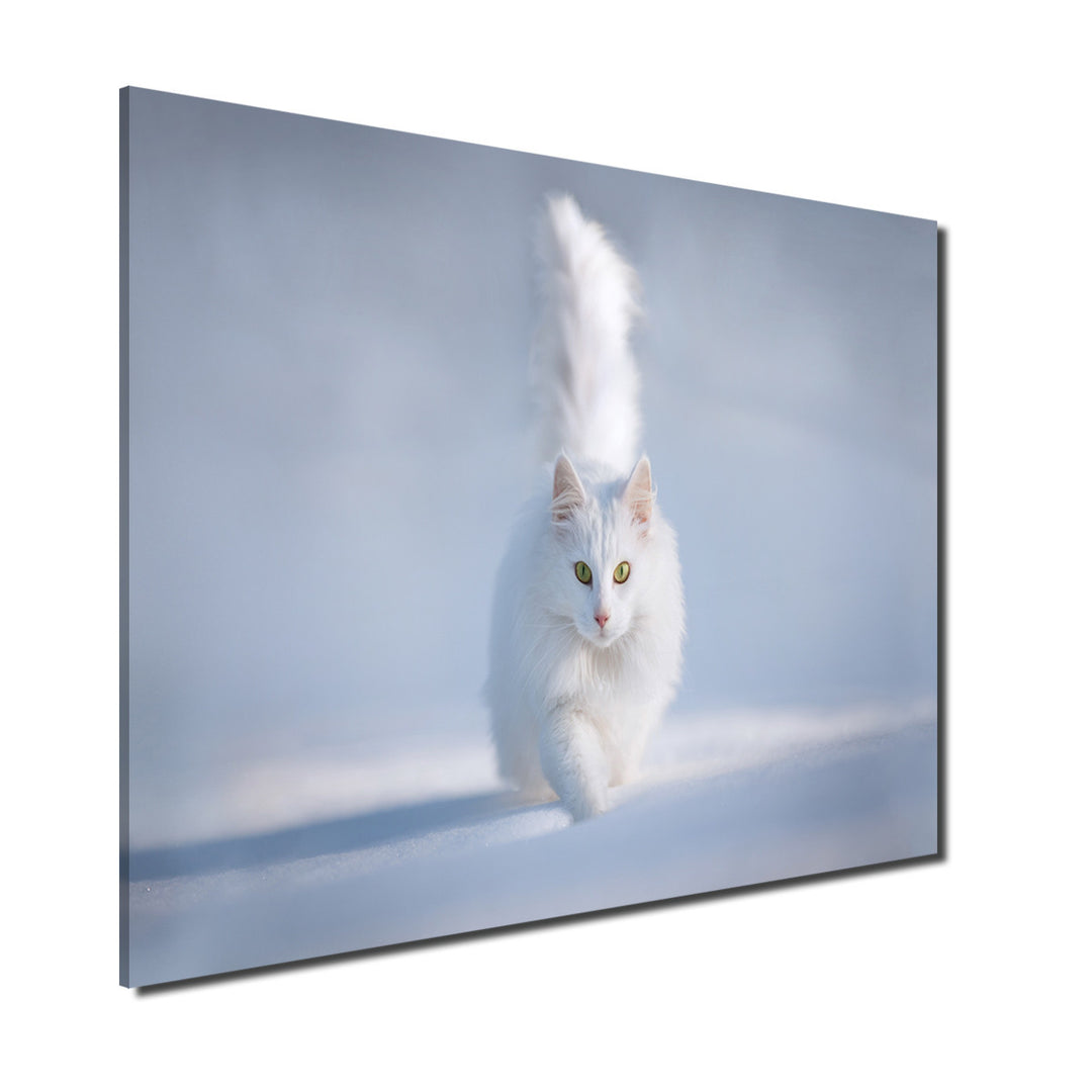 Indoor/Outdoor Wall Art 'Yellow Eyes' in ArtPlexi