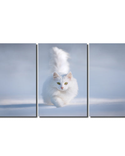 Indoor/Outdoor 3 Piece Wall Art Set 'Yellow Eyes' in ArtPlexi