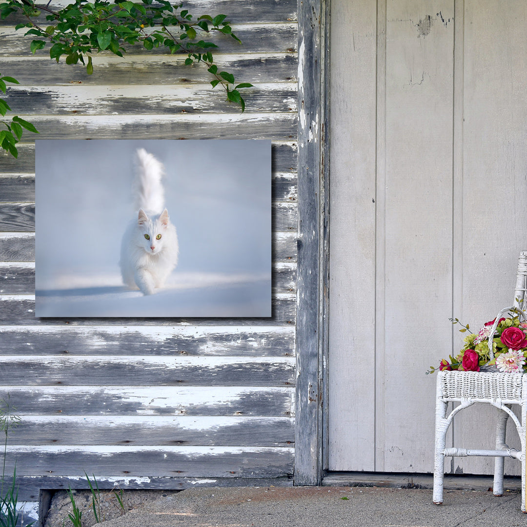Indoor/Outdoor Wall Art 'Yellow Eyes' in ArtPlexi