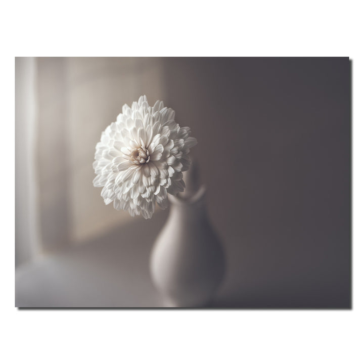 Indoor/Outdoor Wall Art 'Window Light' in ArtPlexi