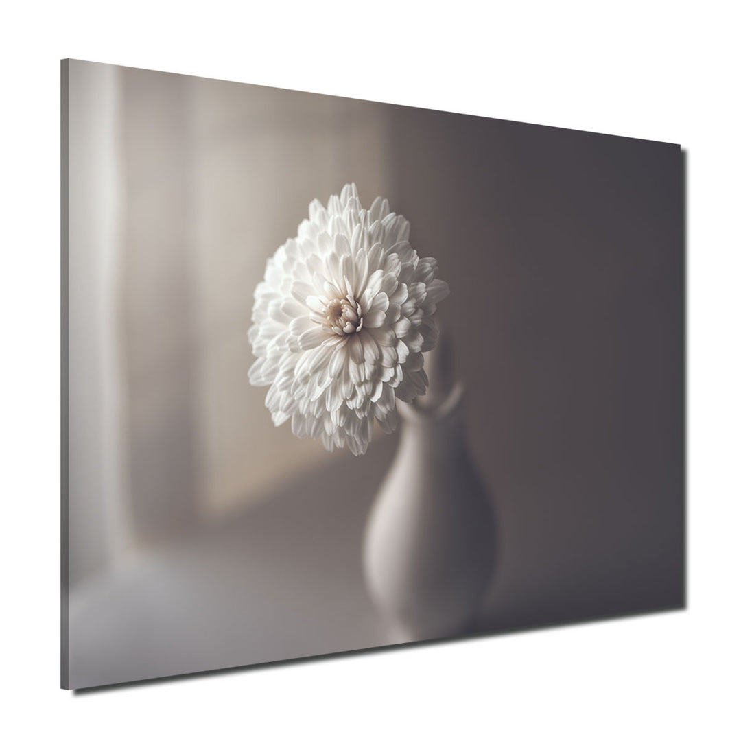 Indoor/Outdoor Wall Art 'Window Light' in ArtPlexi