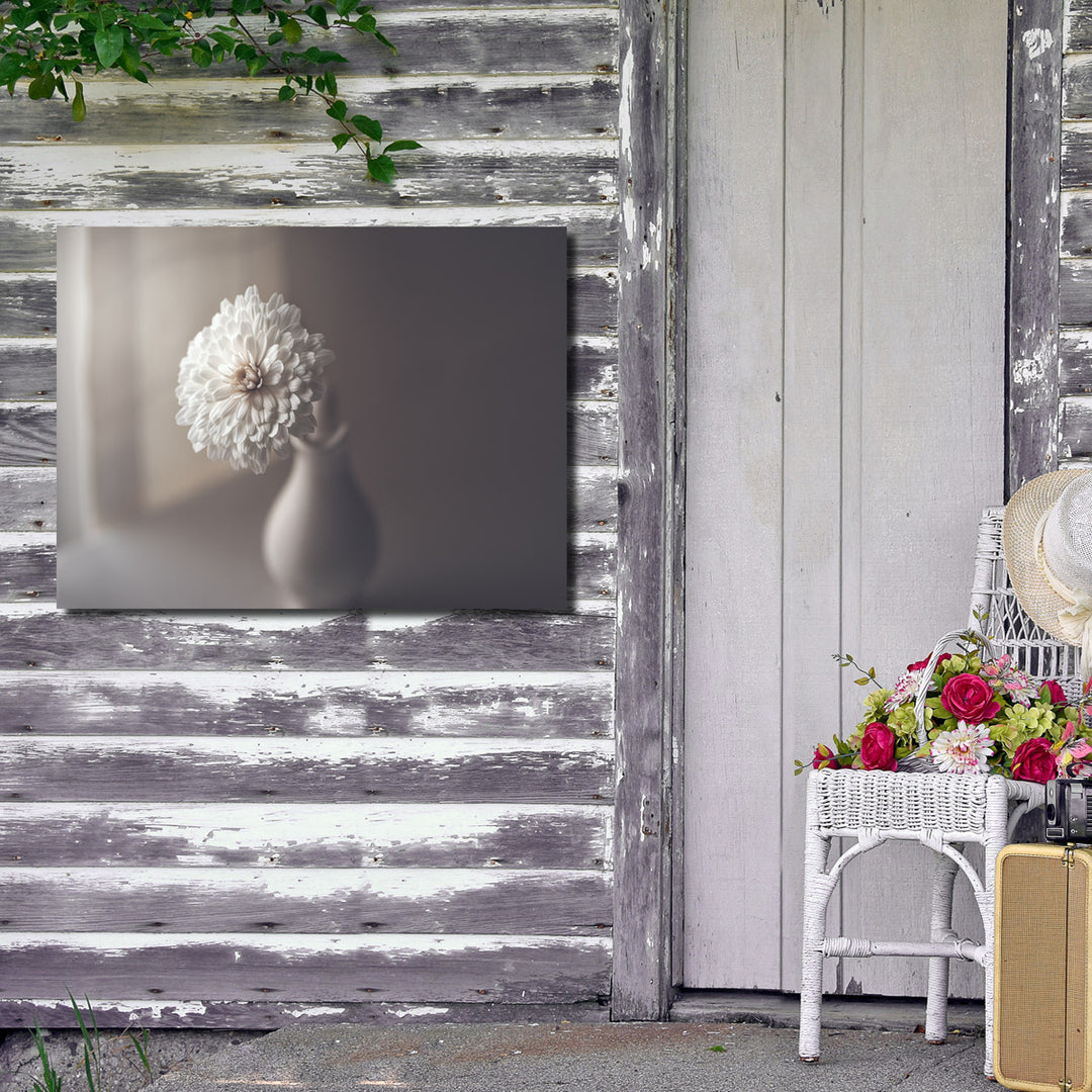 Indoor/Outdoor Wall Art 'Window Light' in ArtPlexi