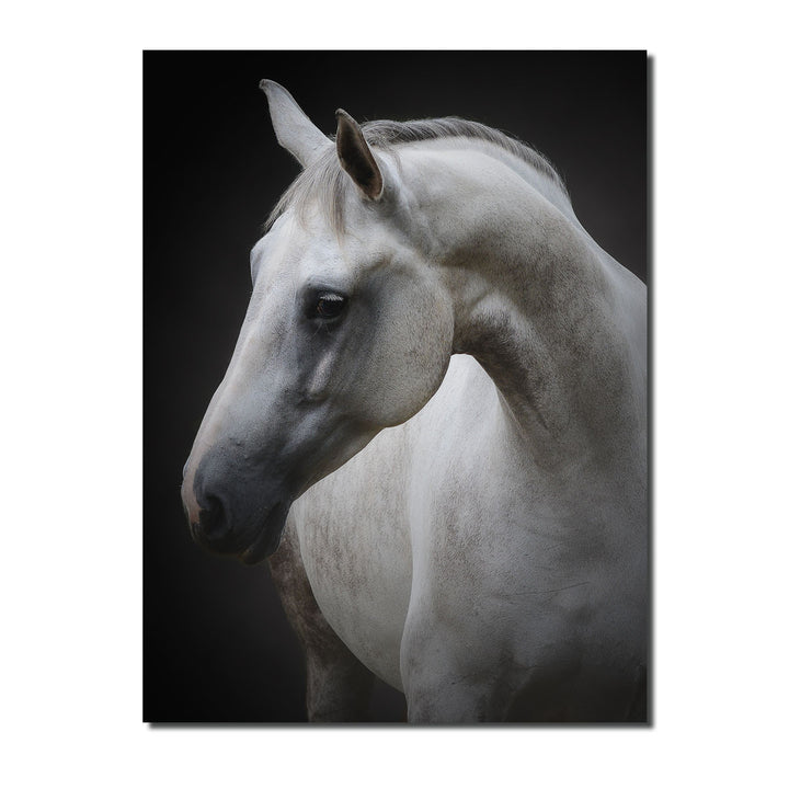 Indoor/Outdoor Wall Art 'Maggie' in ArtPlexi