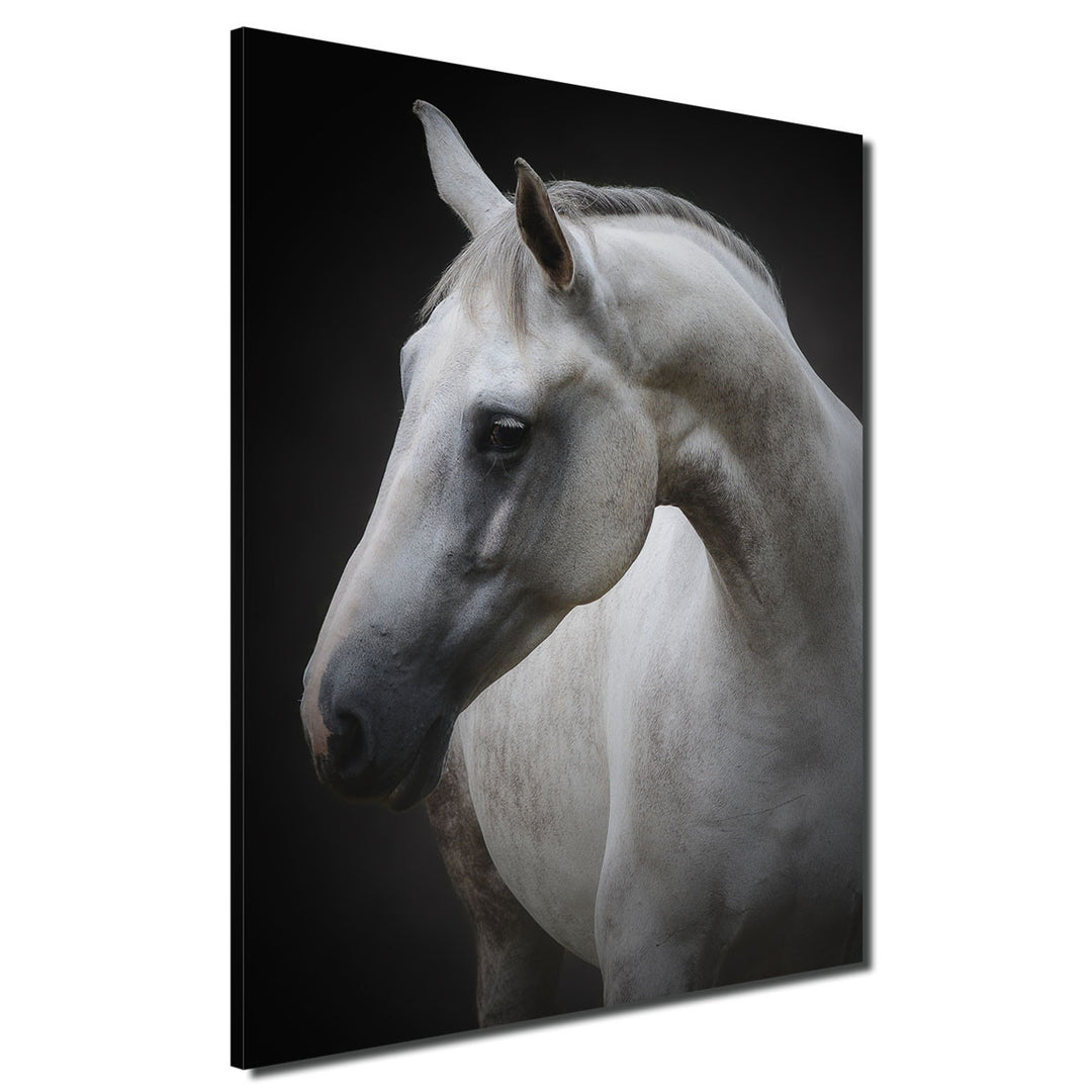 Indoor/Outdoor Wall Art 'Maggie' in ArtPlexi