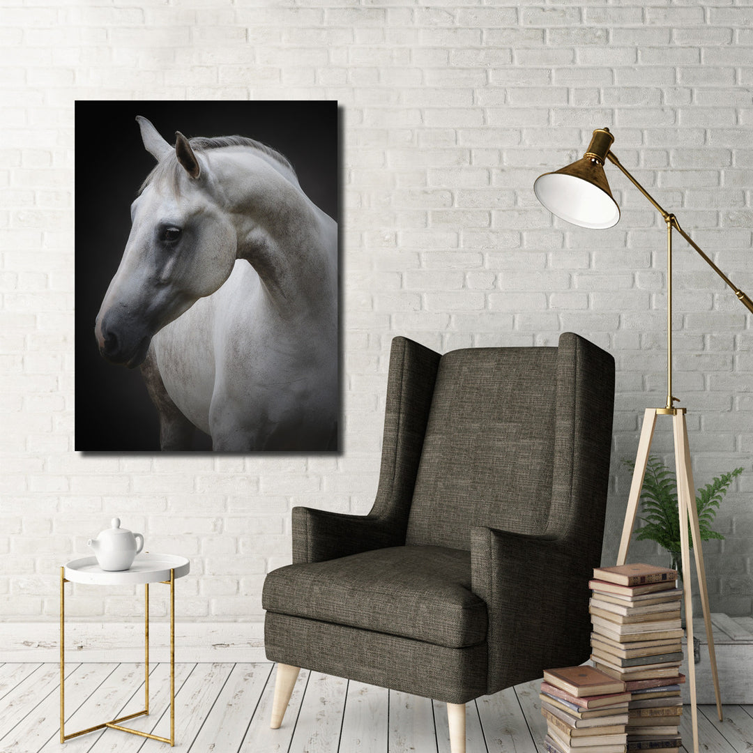 Indoor/Outdoor Wall Art 'Maggie' in ArtPlexi