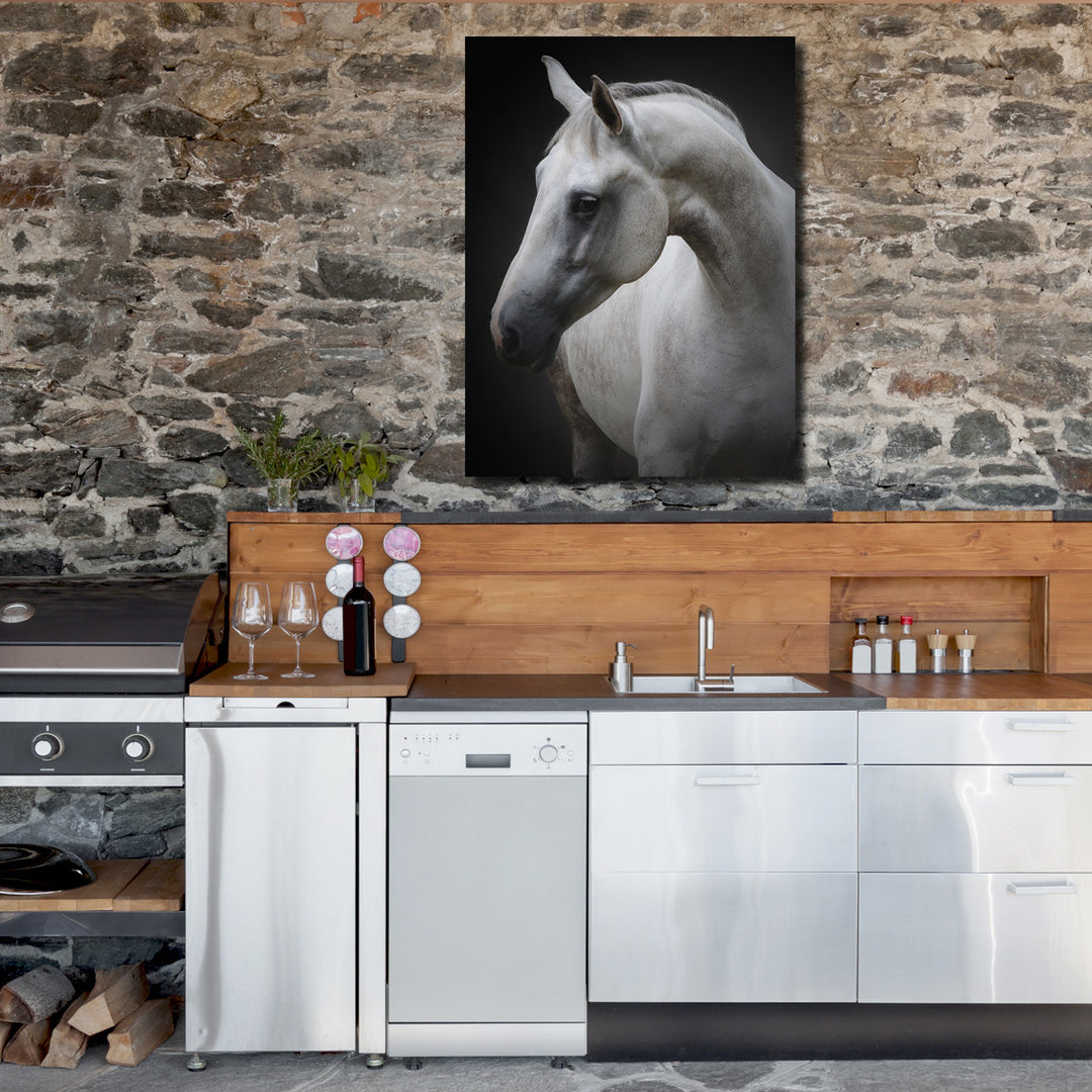 Indoor/Outdoor Wall Art 'Maggie' in ArtPlexi