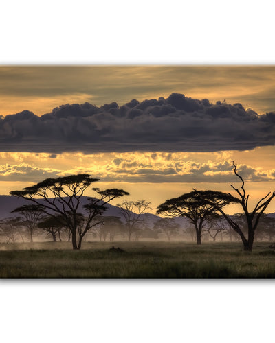 Good Evening Tanzania' Wrapped Canvas Wall Art