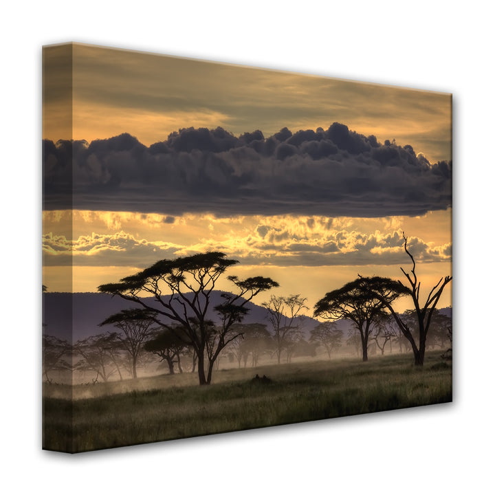 Good Evening Tanzania' Wrapped Canvas Wall Art