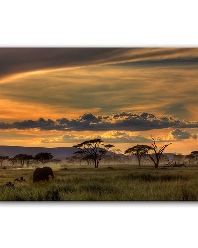 Africa' Wrapped Canvas Wall Art