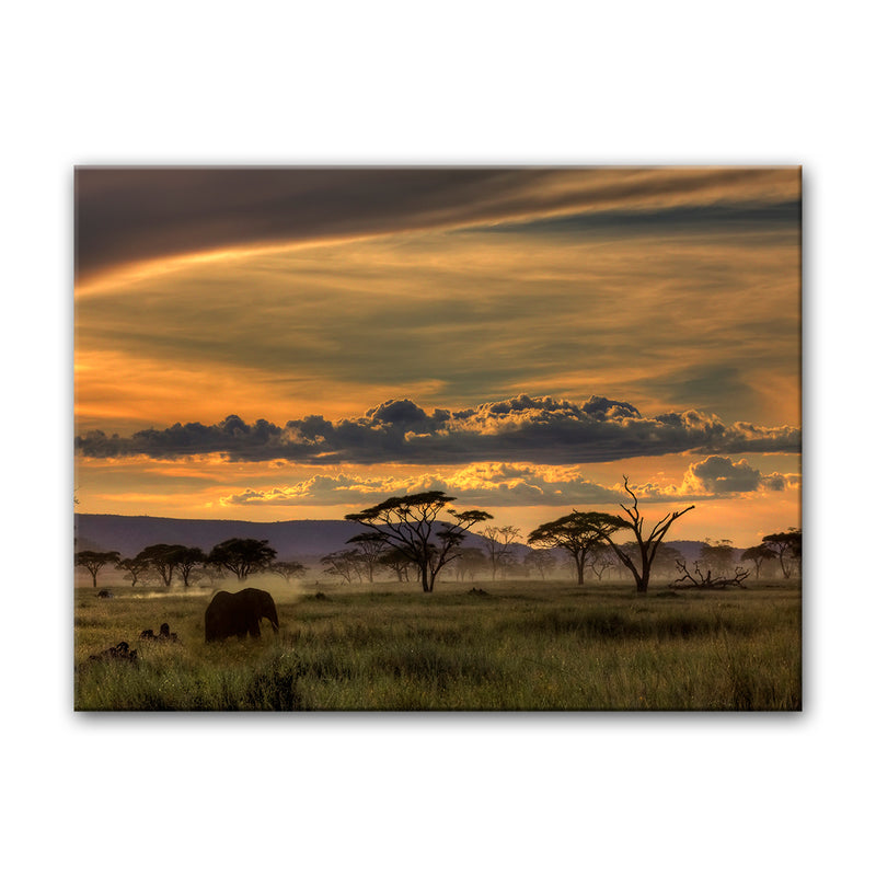 Africa' Wrapped Canvas Wall Art