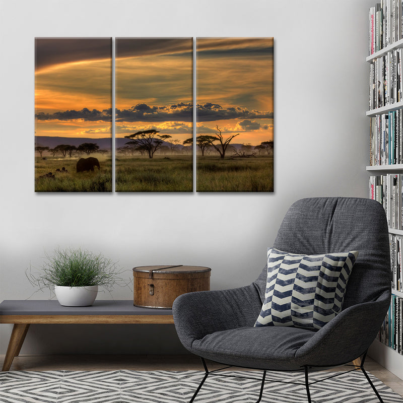 Africa' Wrapped Canvas Wall Art Set