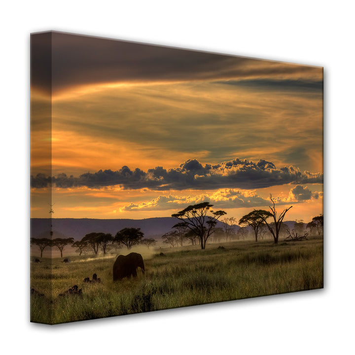 Africa' Wrapped Canvas Wall Art