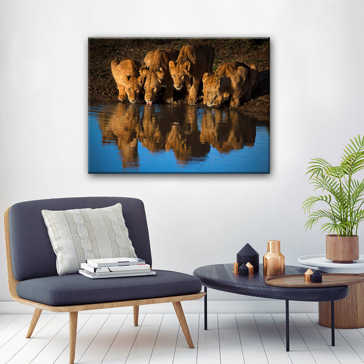 Lions of Mara' Wrapped Canvas Wall Art
