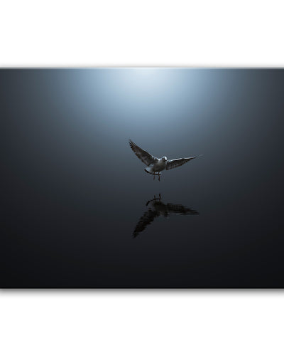 Heaven Sent' Wrapped Canvas Wall Art