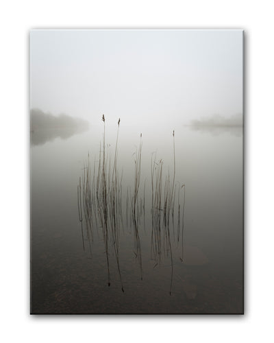 Reeds in the Mist' Wrapped Canvas Wall Art