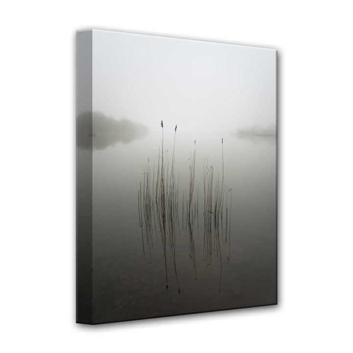 Reeds in the Mist' Wrapped Canvas Wall Art