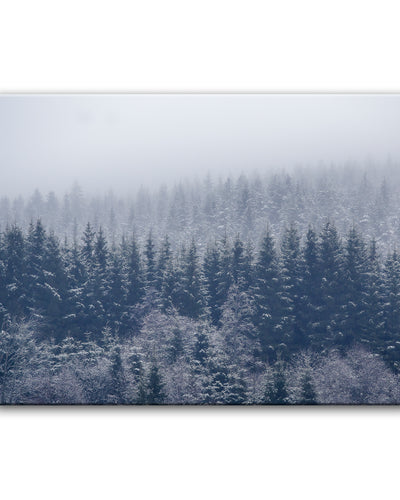 Frozen Trees' Wrapped Canvas Wall Art
