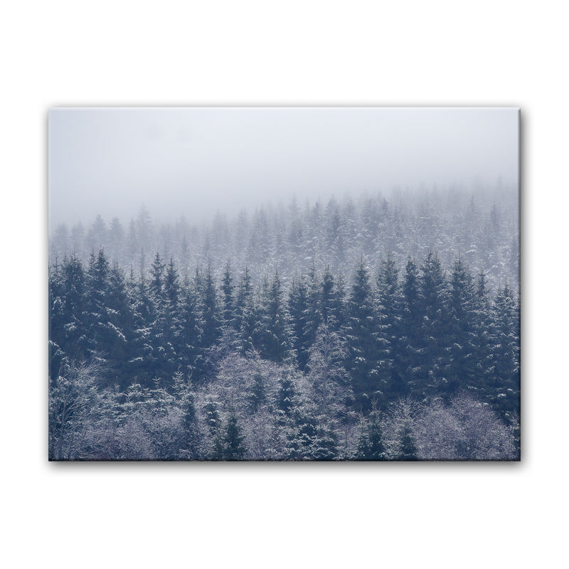 Frozen Trees' Wrapped Canvas Wall Art