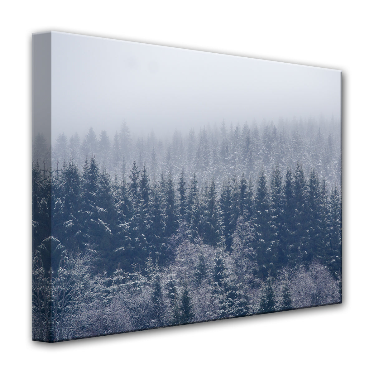 Frozen Trees' Wrapped Canvas Wall Art – Ready2HangArt