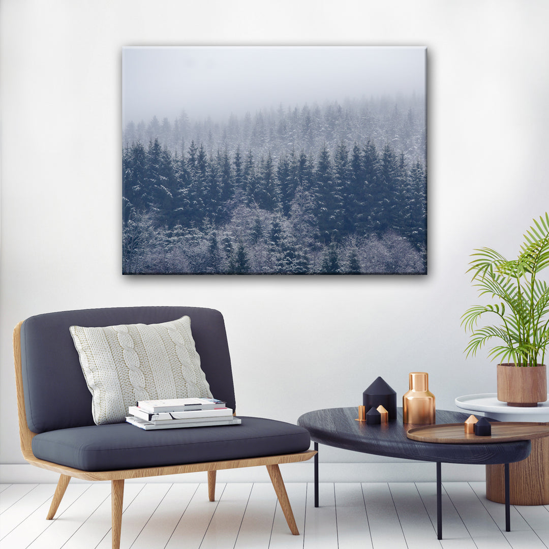 Frozen Trees' Wrapped Canvas Wall Art