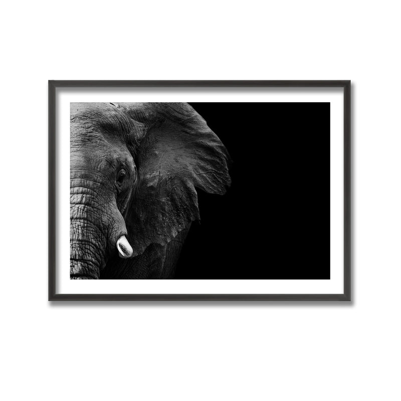 "Elephant" Framed Print Wall Art