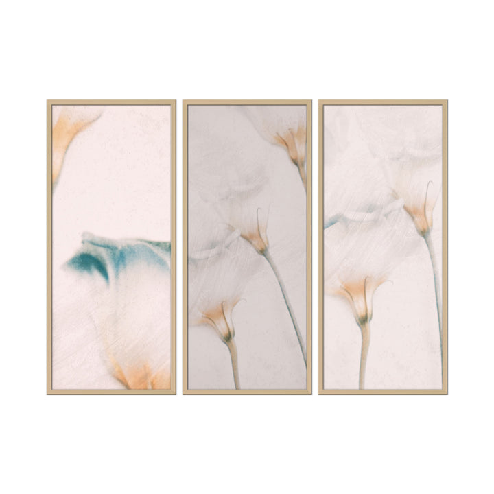 "Elegance" Framed 3-Piece Wall Art Set