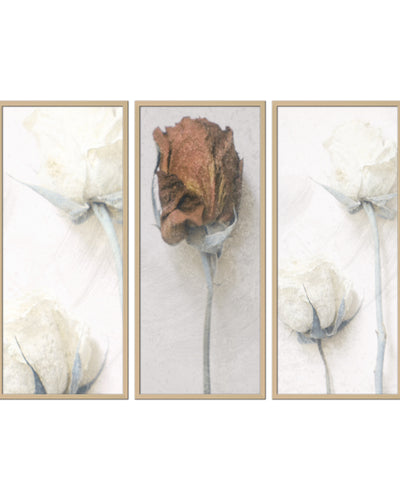 "Memories of Modest Emotion" Framed 3-Piece Wall Art Set