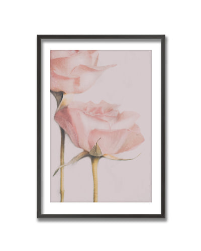 "Two Roses" Framed Print Wall Art