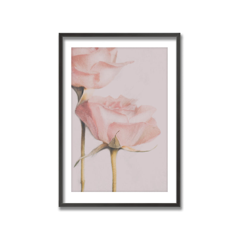 "Two Roses" Framed Print Wall Art