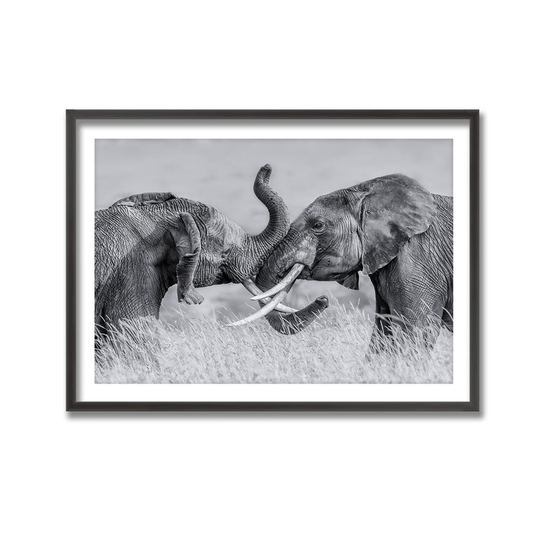 "Elephant Tai Chi" Framed Print Wall Art