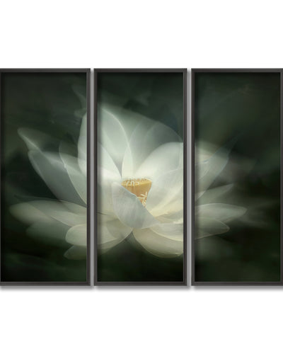"Swaying" Framed 3-Piece Wall Art Set