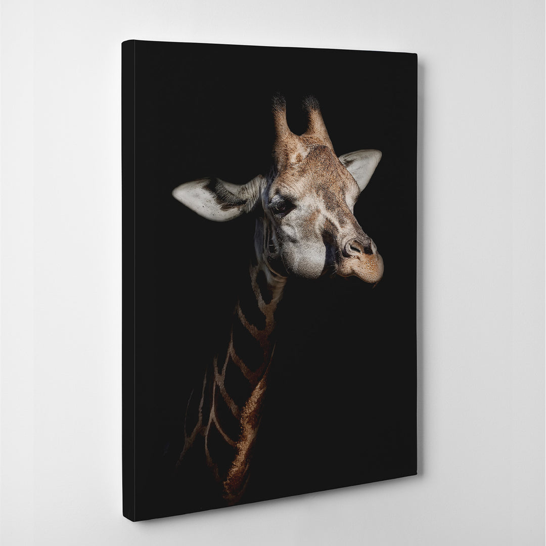 'Giraffe in Low Key'  Wall Art