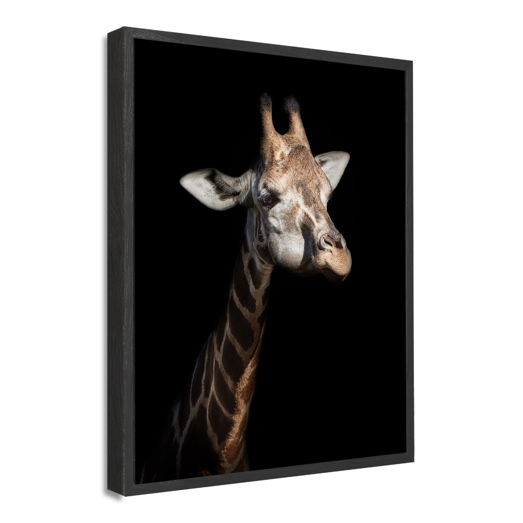 'Giraffe in Low Key'  Wall Art