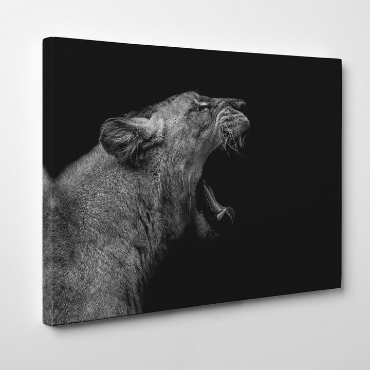 'Lioness in Low Key'  Wall Art