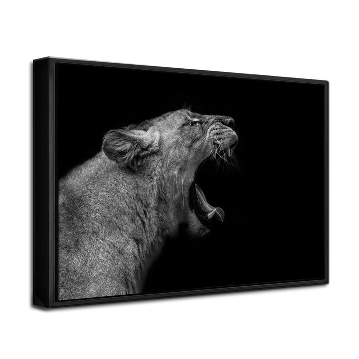 'Lioness in Low Key'  Wall Art