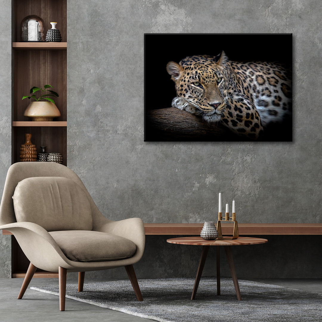'Leopard Resting'  Wall Art