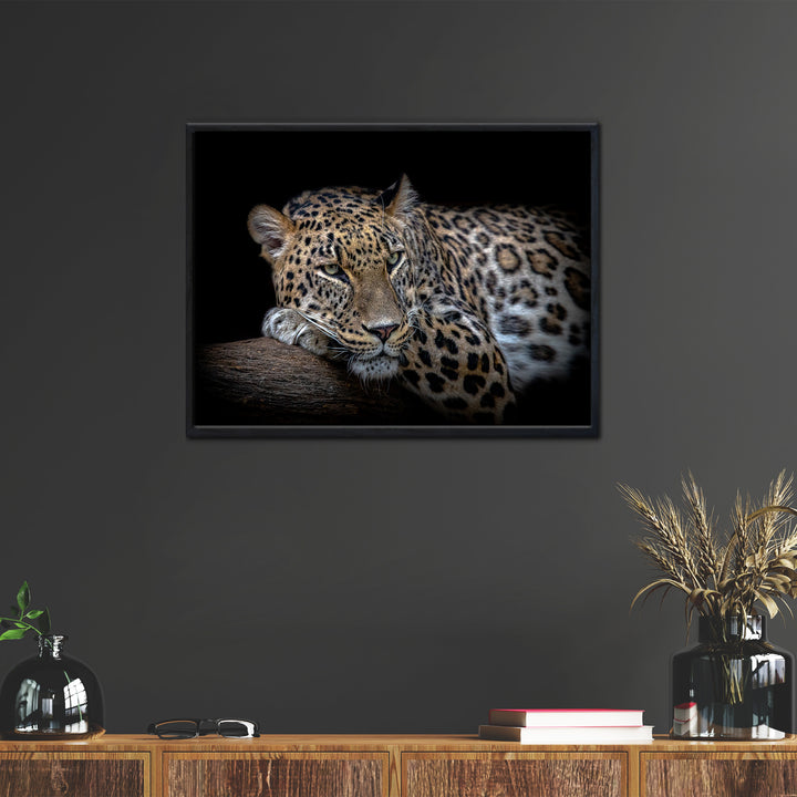 'Leopard Resting'  Wall Art