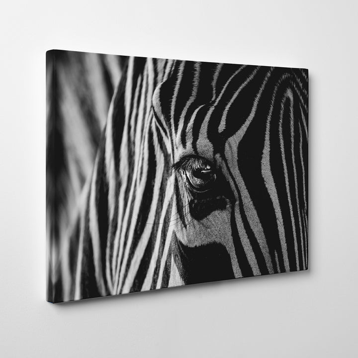 'Abstract Zebra'  Wall Art