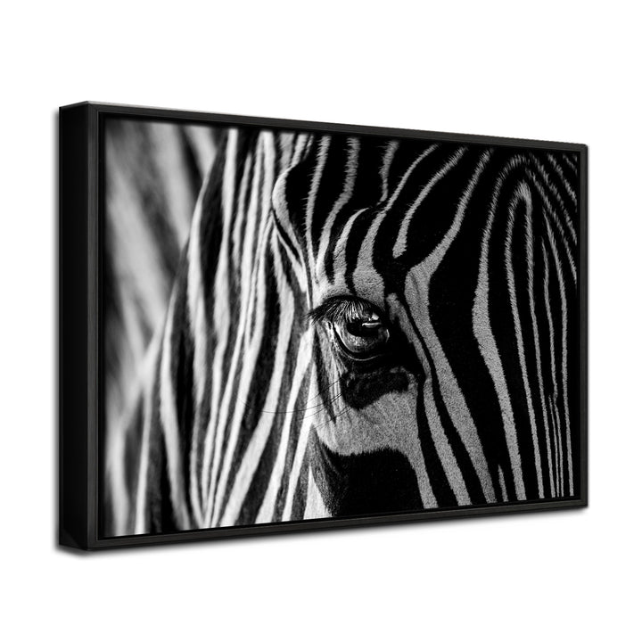 'Abstract Zebra'  Wall Art