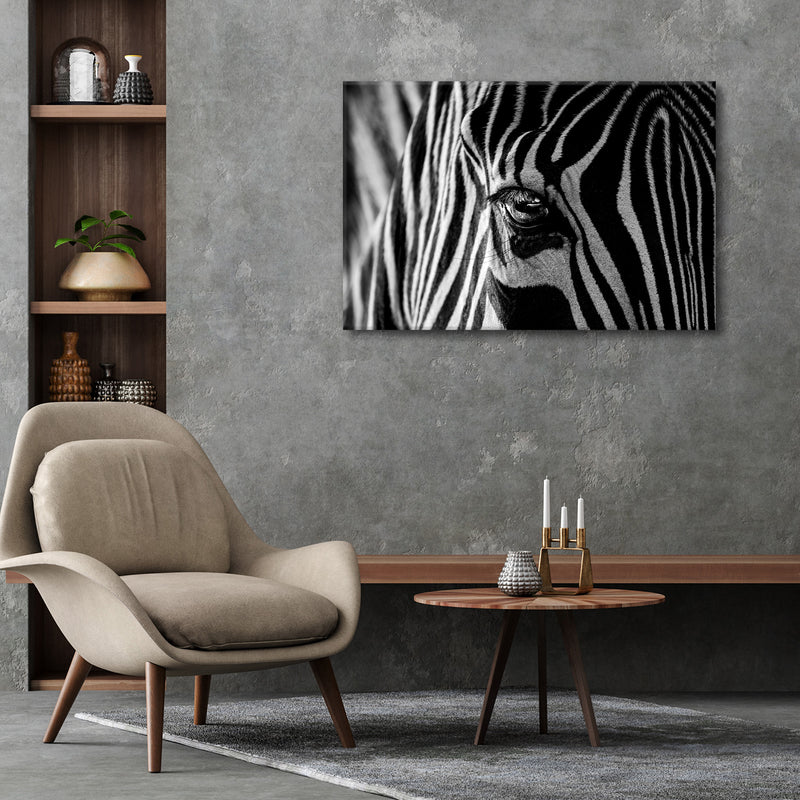 'Abstract Zebra'  Wall Art
